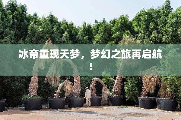 冰帝重现天梦，梦幻之旅再启航!