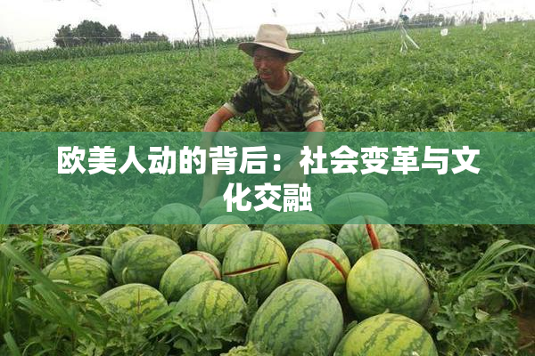 欧美人动的背后：社会变革与文化交融