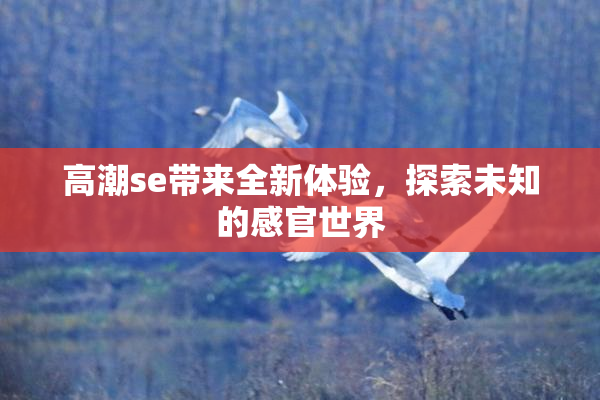 高潮se带来全新体验，探索未知的感官世界