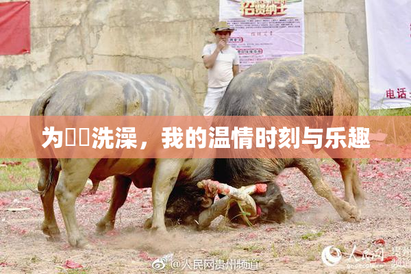 为妺妺洗澡，我的温情时刻与乐趣