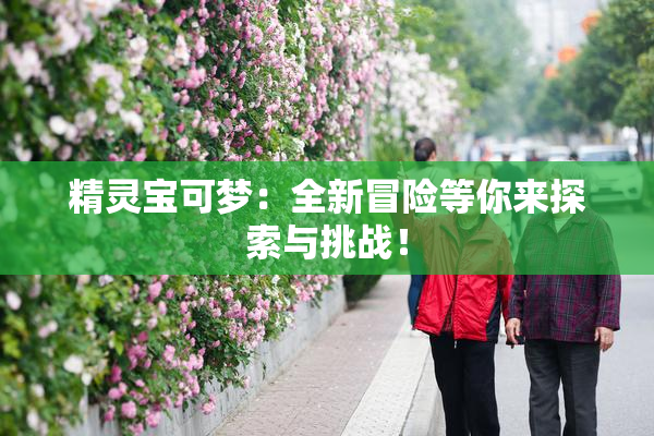 精灵宝可梦：全新冒险等你来探索与挑战！
