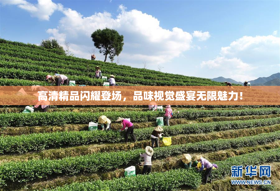 高清精品闪耀登场，品味视觉盛宴无限魅力！