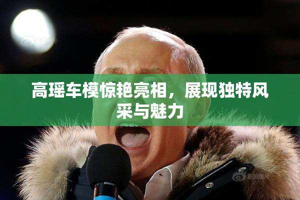 高瑶车模惊艳亮相，展现独特风采与魅力