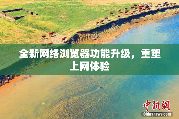 全新网络浏览器功能升级，重塑上网体验