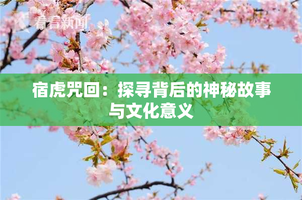 宿虎咒回：探寻背后的神秘故事与文化意义