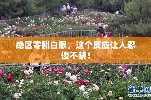 绝区零翻白眼，这个反应让人忍俊不禁！