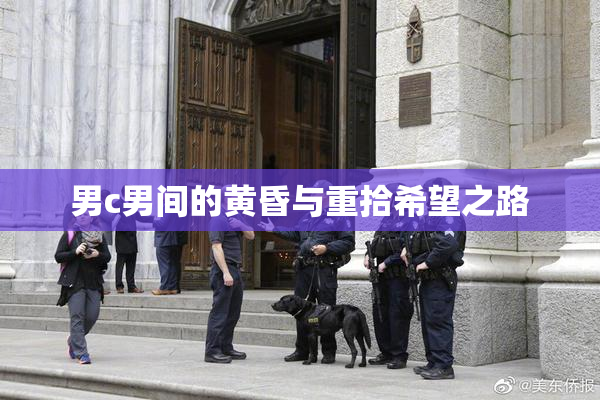 男c男间的黄昏与重拾希望之路