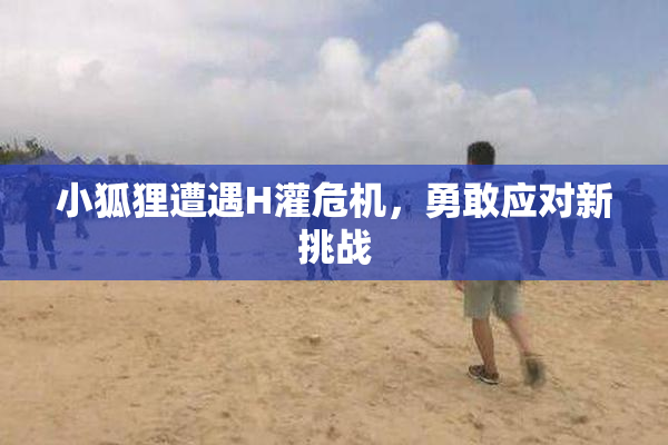 小狐狸遭遇H灌危机，勇敢应对新挑战