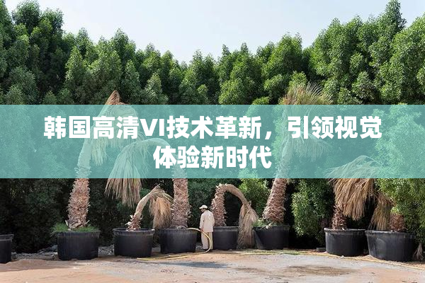 韩国高清VI技术革新，引领视觉体验新时代