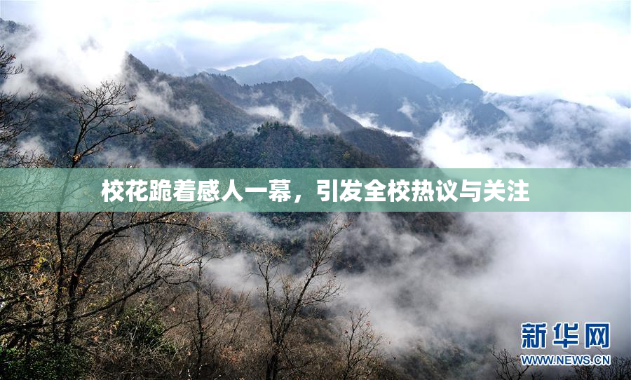 校花跪着感人一幕，引发全校热议与关注