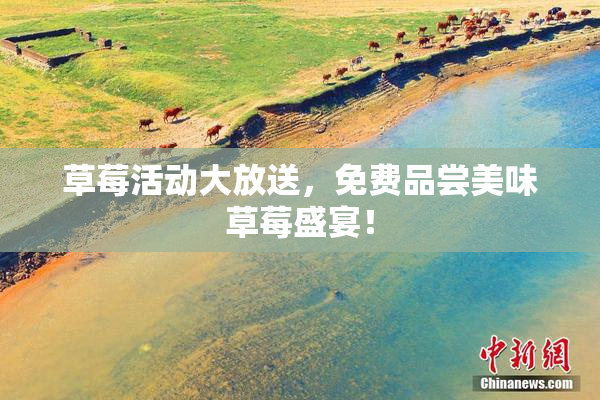 草莓活动大放送，免费品尝美味草莓盛宴！