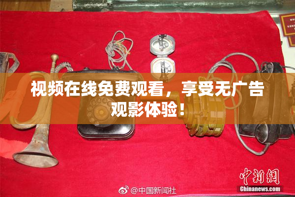 视频在线免费观看，享受无广告观影体验！