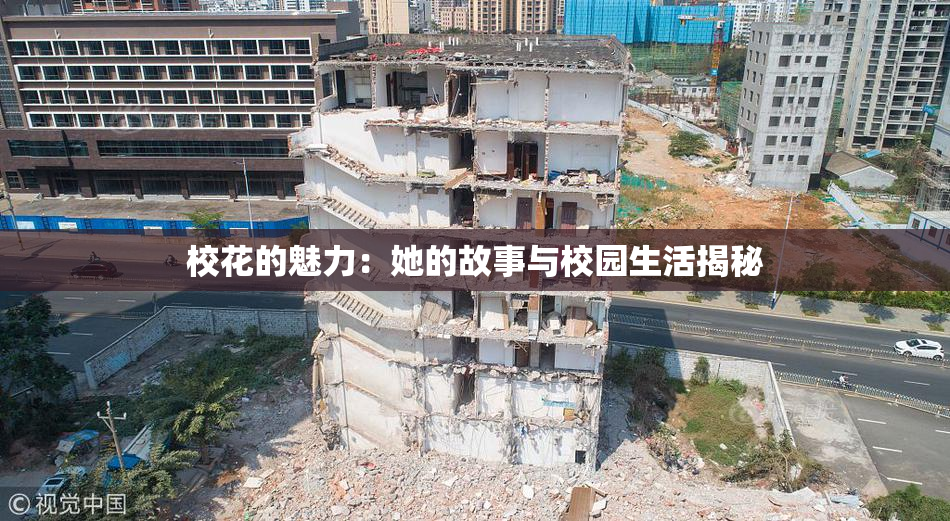 校花的魅力：她的故事与校园生活揭秘