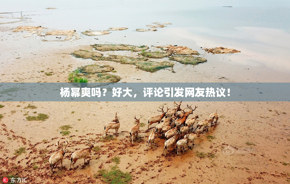 杨幂爽吗？好大，评论引发网友热议！