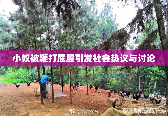 小奴被鞭打屁股引发社会热议与讨论