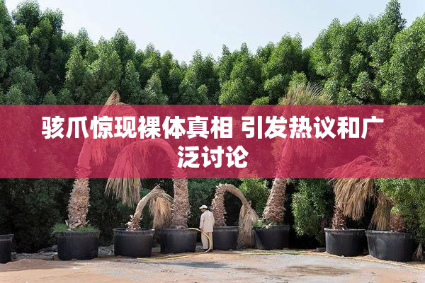 骇爪惊现裸体真相 引发热议和广泛讨论