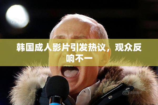 韩国成人影片引发热议，观众反响不一