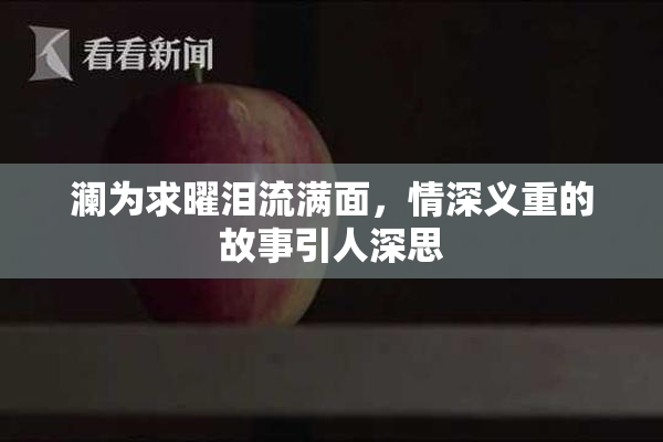 澜为求曜泪流满面，情深义重的故事引人深思