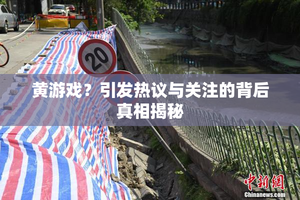 黄游戏？引发热议与关注的背后真相揭秘