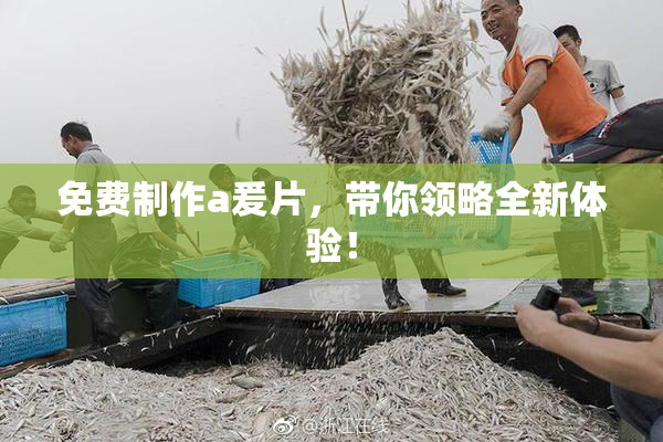 免费制作a爰片，带你领略全新体验！
