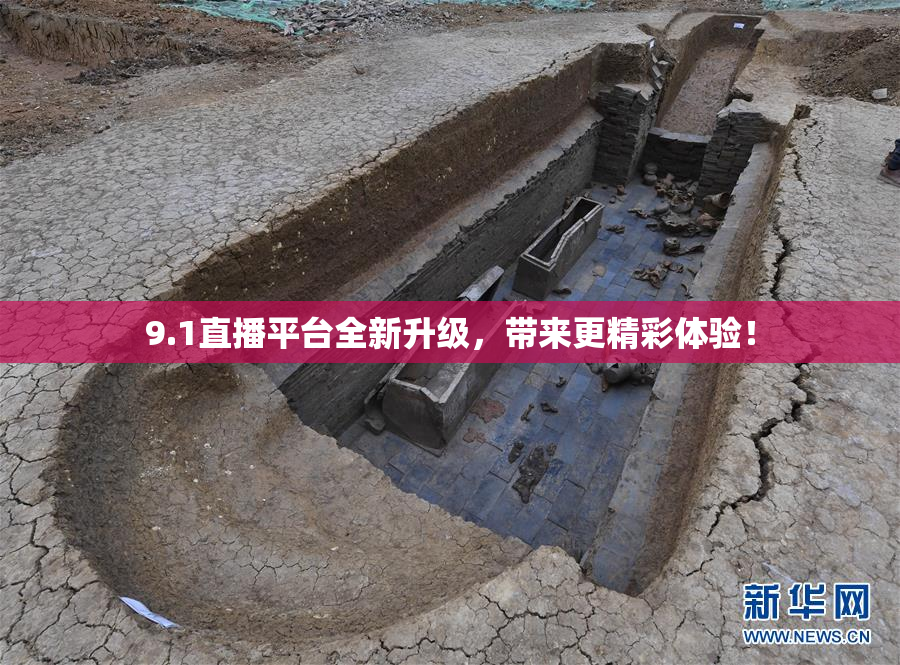 9.1直播平台全新升级，带来更精彩体验！