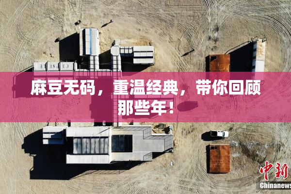 麻豆无码，重温经典，带你回顾那些年！