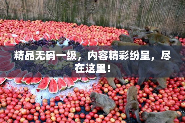 精品无码一级，内容精彩纷呈，尽在这里！