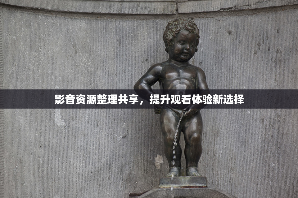 影音资源整理共享，提升观看体验新选择