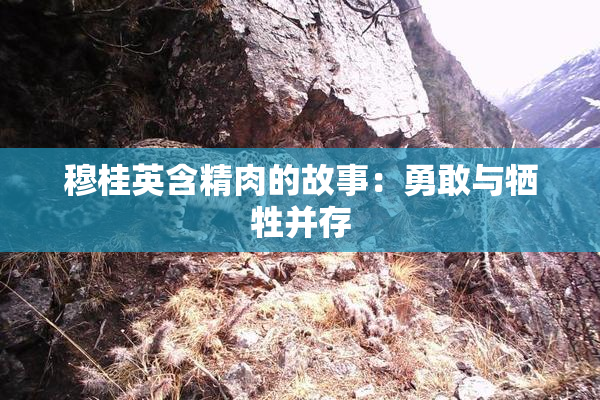 穆桂英含精肉的故事：勇敢与牺牲并存