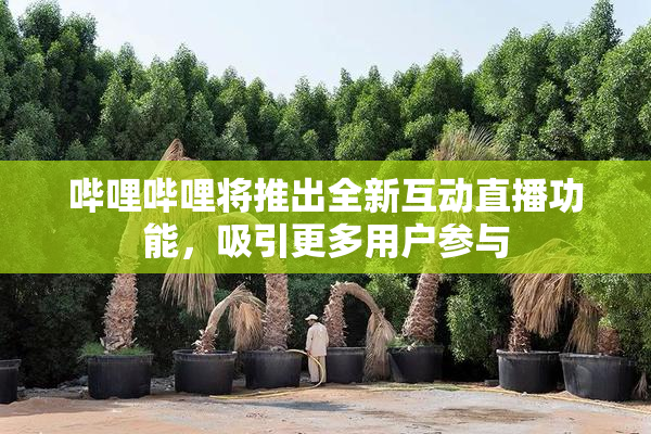 哔哩哔哩将推出全新互动直播功能，吸引更多用户参与