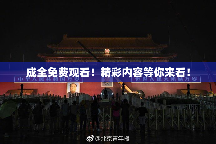 成全免费观看！精彩内容等你来看！