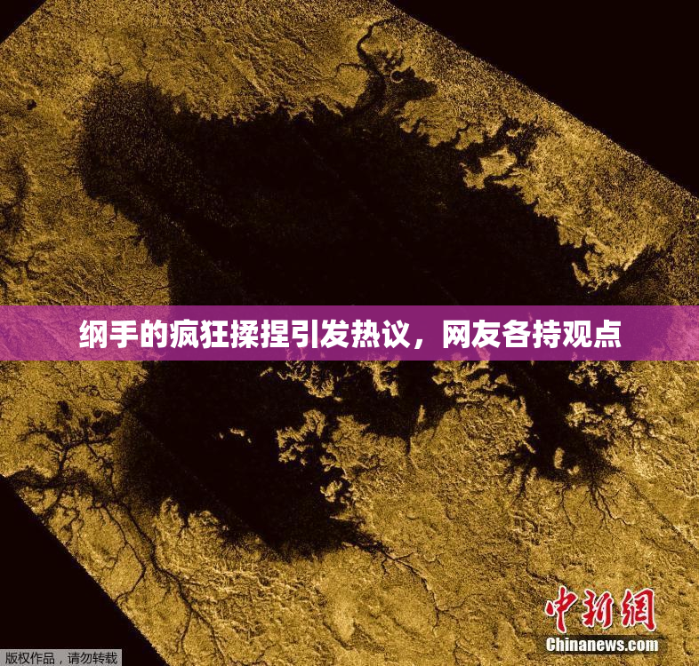 纲手的疯狂揉捏引发热议，网友各持观点