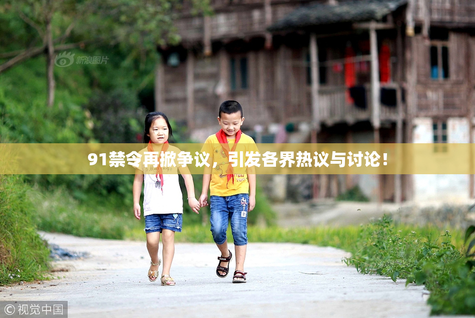 91禁令再掀争议，引发各界热议与讨论！