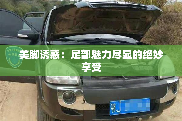 美脚诱惑：足部魅力尽显的绝妙享受
