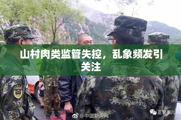 山村肉类监管失控，乱象频发引关注