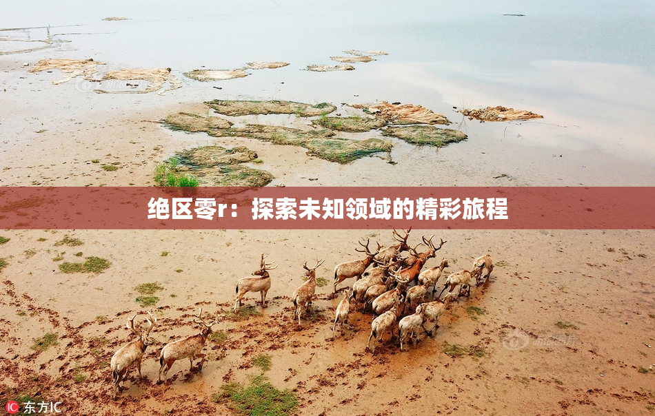 绝区零r：探索未知领域的精彩旅程