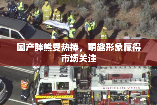 国产胖熊受热捧，萌趣形象赢得市场关注