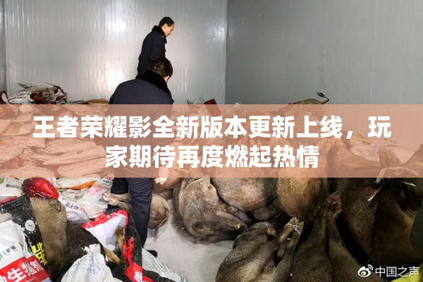 王者荣耀影全新版本更新上线，玩家期待再度燃起热情