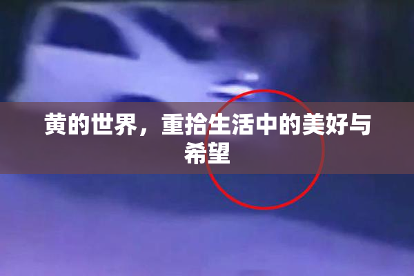 黄的世界，重拾生活中的美好与希望