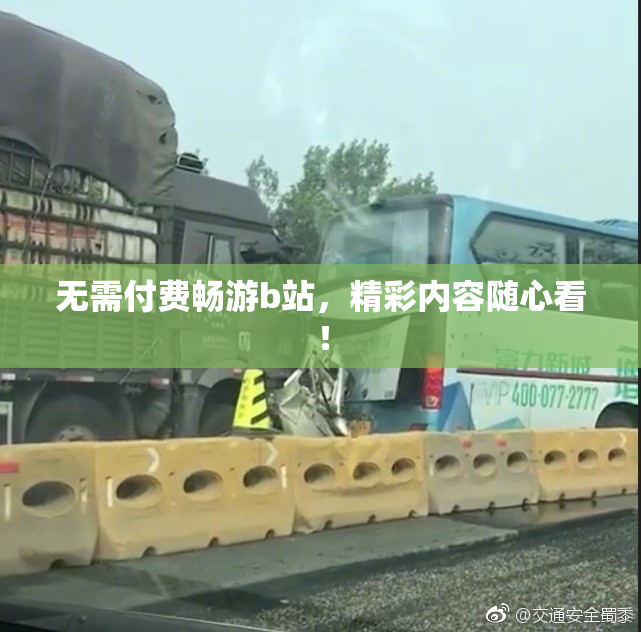 无需付费畅游b站，精彩内容随心看！