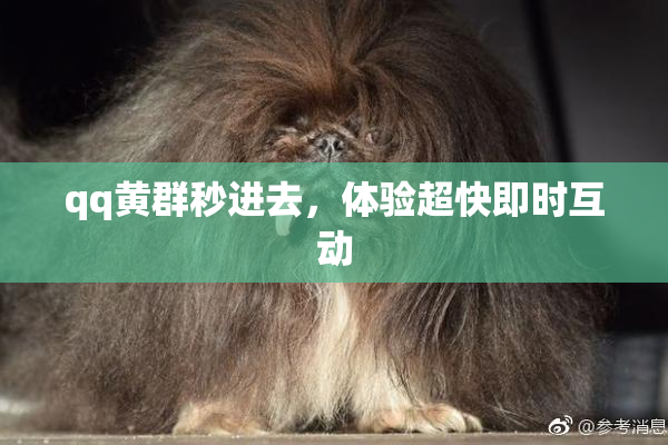 qq黄群秒进去，体验超快即时互动