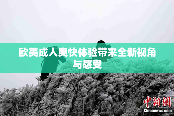欧美成人爽快体验带来全新视角与感受
