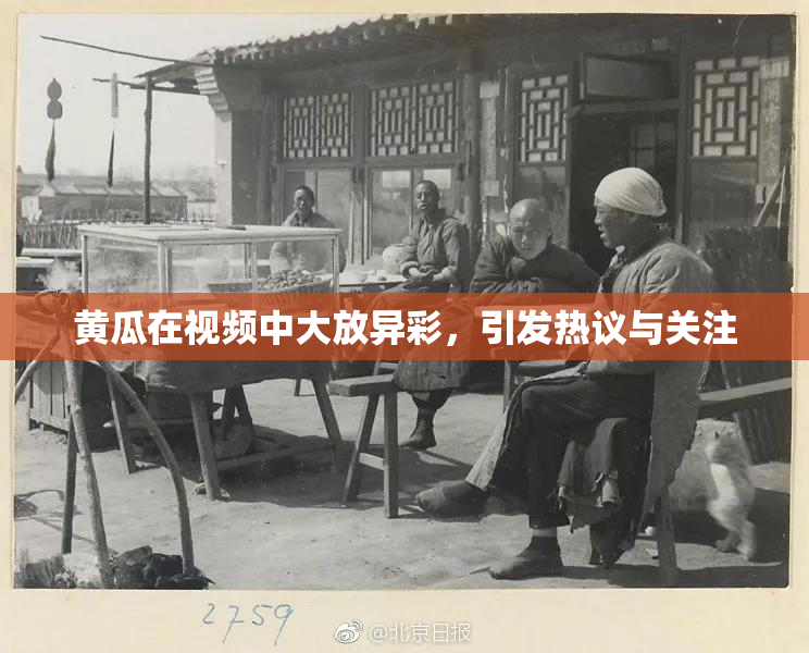 黄瓜在视频中大放异彩，引发热议与关注