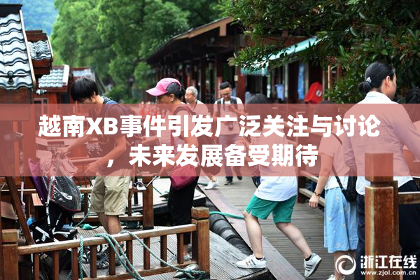 越南XB事件引发广泛关注与讨论，未来发展备受期待