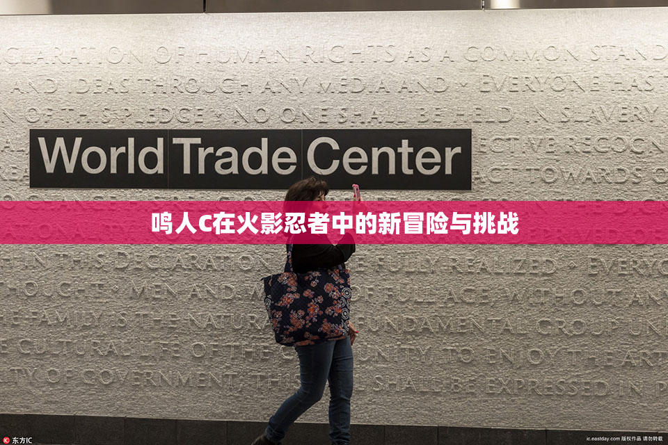 鸣人C在火影忍者中的新冒险与挑战
