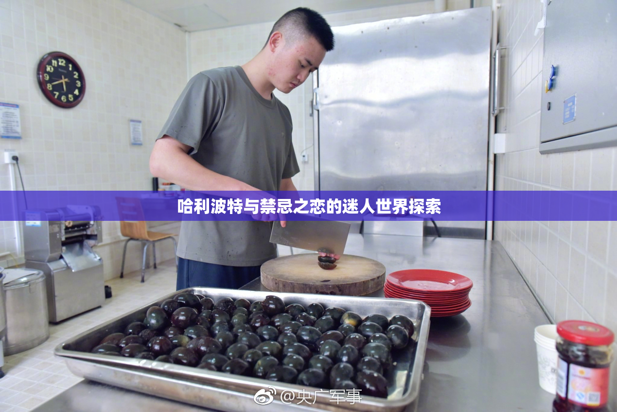 哈利波特与禁忌之恋的迷人世界探索