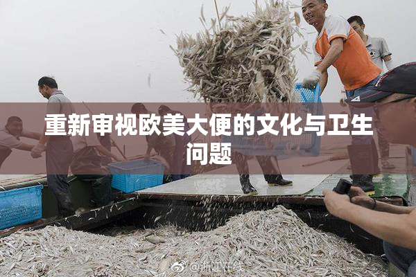 重新审视欧美大便的文化与卫生问题