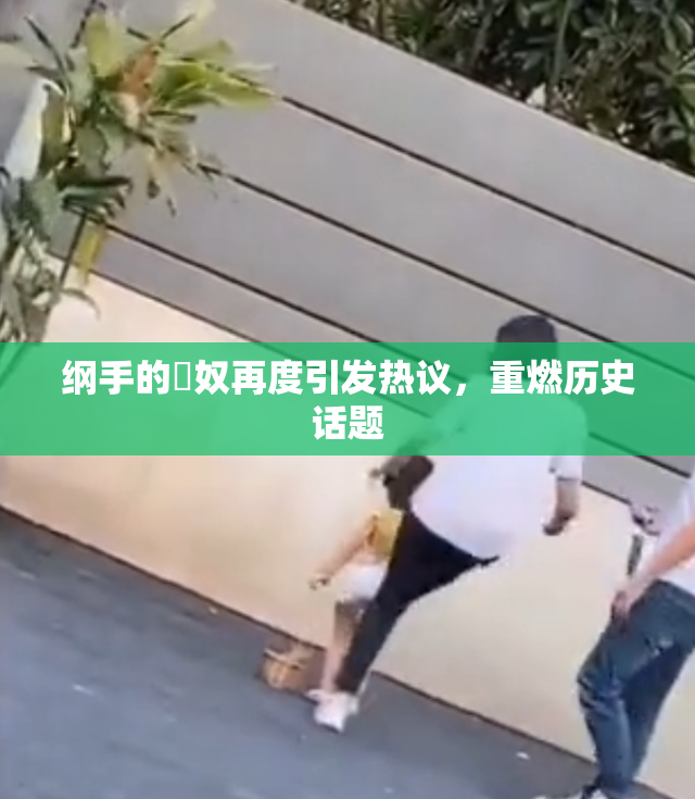 纲手的婬奴再度引发热议，重燃历史话题