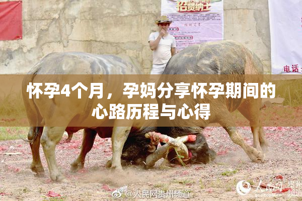 怀孕4个月，孕妈分享怀孕期间的心路历程与心得