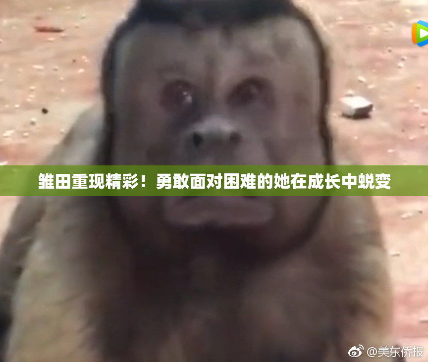雏田重现精彩！勇敢面对困难的她在成长中蜕变